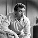 Actor James Dean East of Eden Photo