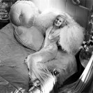 Actress Jean Harlow Photo 16