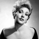Actress Kim Novak Photo
