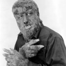 Actor Lon Chaney Jr Photo 2 in The Wolfman