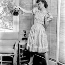 Actress Lucille Ball Photo 35