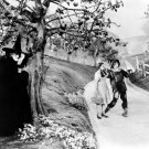 Margaret Hamilton, Judy Garland, and Ray Bolger in The Wizard of Oz Photo
