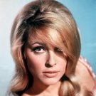 Actress Sharon Tate Photo 4