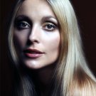 Actress Sharon Tate Photo 6