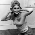 Actress Sharon Tate Photo 16