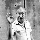Comedian Rodney Dangerfield Photo