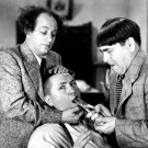 The Three Stooges Photo 2