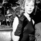 Vikki 'The Back' Dougan Photo Jessica Rabbit Model