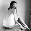 Vikki 'The Back' Dougan Photo 2 Jessica Rabbit Model