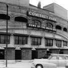Chicago White Sox Comiskey Park Photo 5