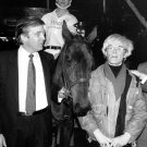Donald Trump Holding a Polo Pony Talking to Andy Warhol on Nov. 4, 1983 Photo