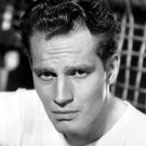 Actor Charlton Heston Photo 4
