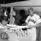 Chicago White Sox Minnie Miñoso Photo 3