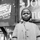 Harlem Newsboy 1943 Photo