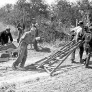 Cherry Pickers, Door County, Wisconsin 1940 Photo