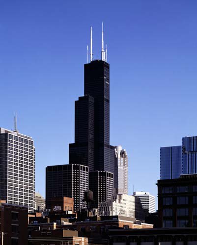 Sears Tower, Chicago Illinois Photo
