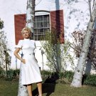 Actress Rita Hayworth Photo 51