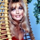 Actress Sharon Tate Photo 20