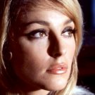 Actress Sharon Tate Photo 21