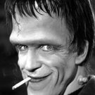 Actor Fred Gwynne in The Munsters Photo 2