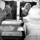 Joan Collins and Jayne Mansfield Photo