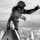 King Kong Photo