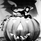 Actress Yvonne De Carlo Photo 11