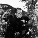 Actor Boris Karloff Photo 28 Frankenstein
