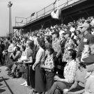 Minor League Milwaukee Brewers Borchert Field April 16, 1952 Photo