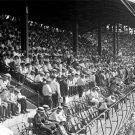Crowd at the 1924 World Series Photo