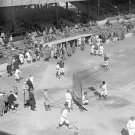 Washington Senators Batting Practice 1925 World Series Photo