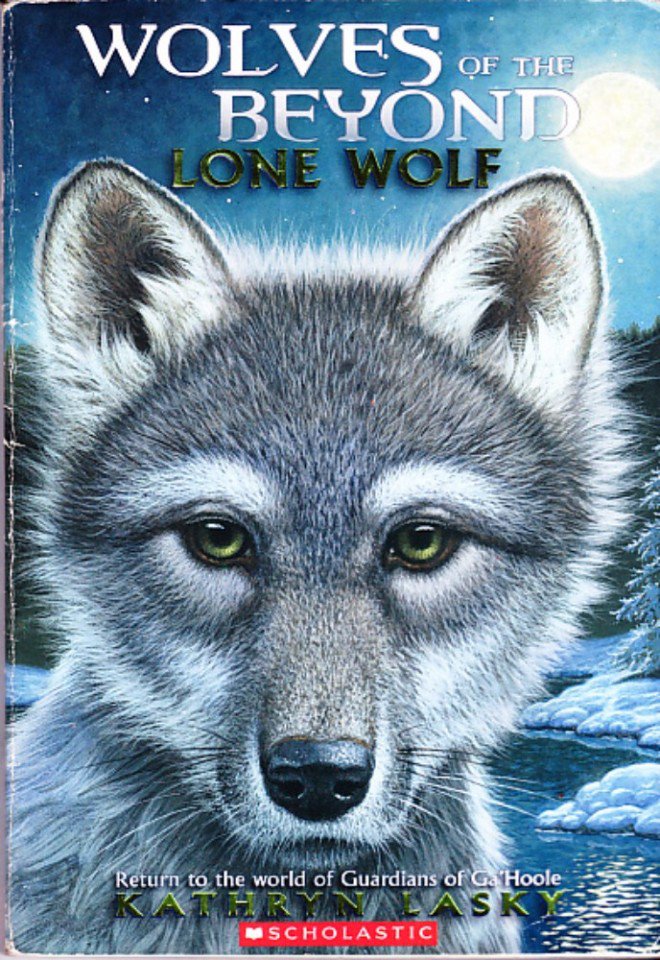 the book of wolf forex