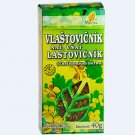 Celandine Leaf 40g - Chelidonium Majus - Organic Herbal Dried Tea Swallowwort