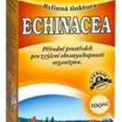 Echinacea Purpurea 100ml - Natural Organic Herbal Tincture Oil Healthy Immunity