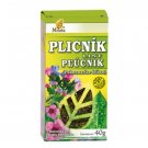 Lung Wort Leaf 40g - Pulmonaria Officinalis - Organic Herbal Dried Tea Loose Herb