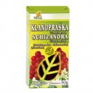 Chinese Magnoliavine 30g - Schisandra Chinensis - Organic Herbal Dried Tea Loose Herb