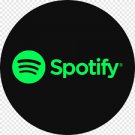 1 Spotify Rating