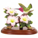 Hummingbird2