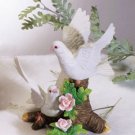 Gorgeous Doves