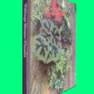 Time Life Encyclopedia of Gardening*Foliage House Plants*