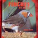 Finches*As a New Pet*Morgan Kevey*
