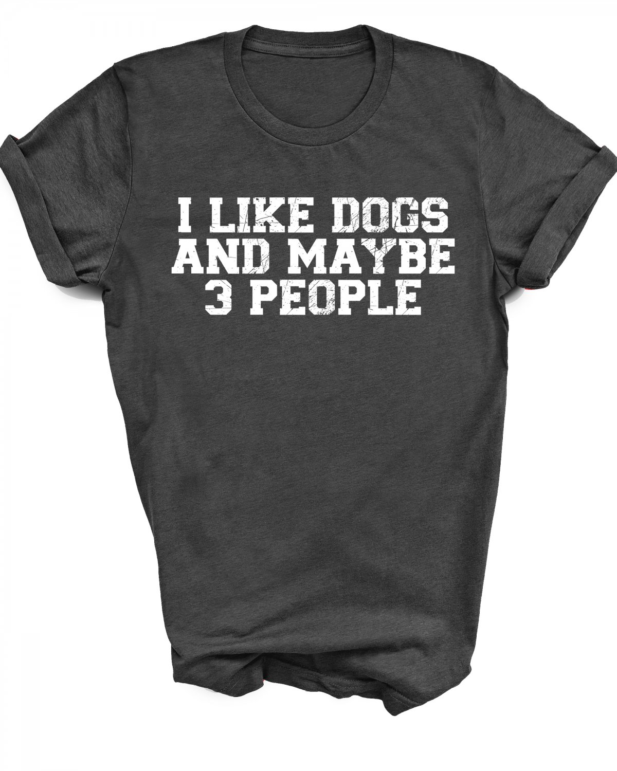 Funny Gift Shirt - i like dogs and maybe 3 people - (Large Dark Grey Tee)