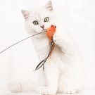 Cat Toys Interactive Cat Feather Wand, Kitten Wand Toy Feather Teaser Cat Fishing Pole
