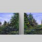 Set of 2 Original Acrylic paintings . Size 60* 30 cm ( 30 x 30 each)