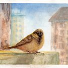 ORIGINAL WATERCOLOUR PAINTING, Warm Day. bird, nature, City, Original art, Fine Art