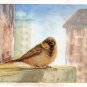ORIGINAL WATERCOLOUR PAINTING, Warm Day. bird, nature, City, Original art, Fine Art