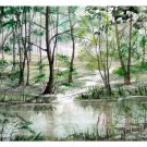 ORIGINAL WATERCOLOR : Summer Coolness