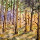 ORIGINAL WATERCOLOR PAINTING Forest