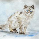 Original watercolour painting. Cat