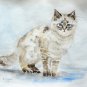 Original watercolour painting. Cat